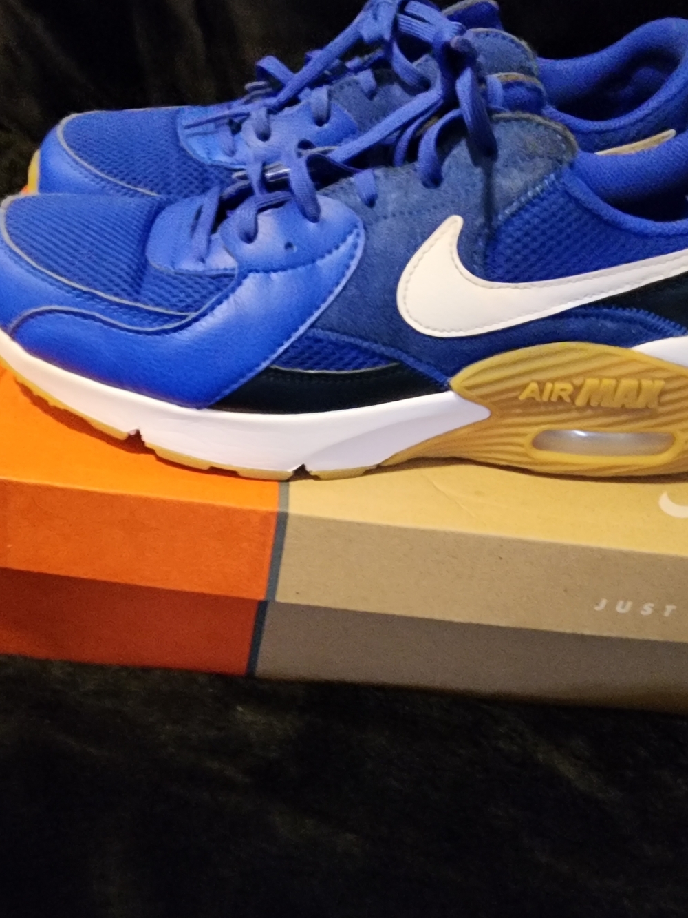 Nike Royal Blue and White Air Max Sneakers with Gold Accent